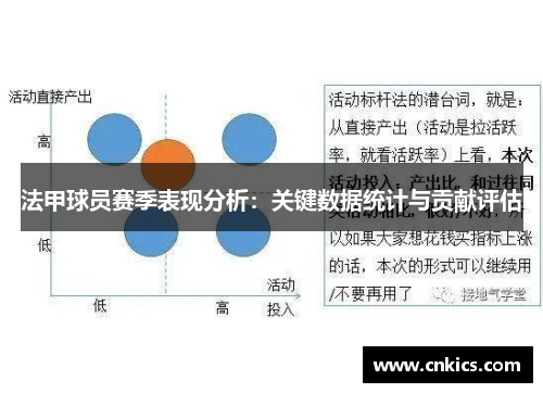 法甲球员赛季表现分析：关键数据统计与贡献评估
