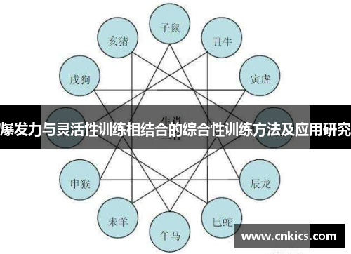爆发力与灵活性训练相结合的综合性训练方法及应用研究