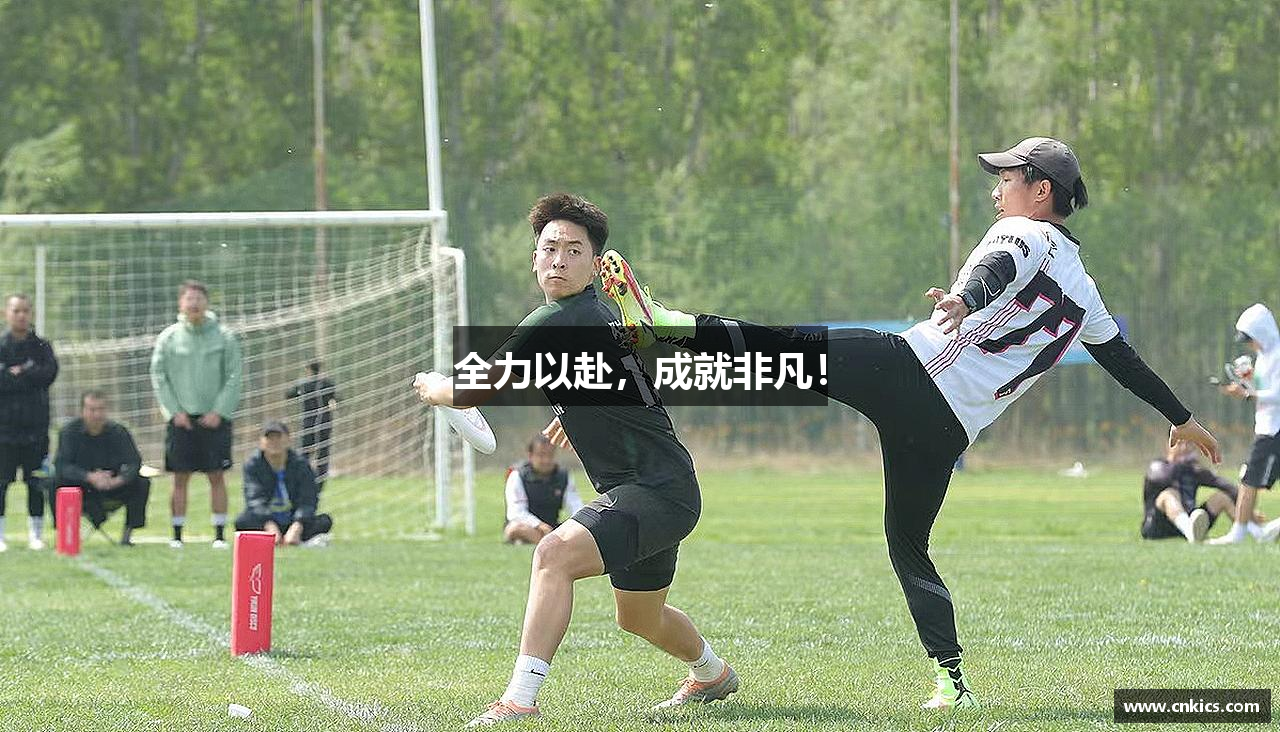 全力以赴，成就非凡！